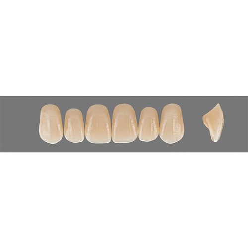 C3 Upper O49 Anterior