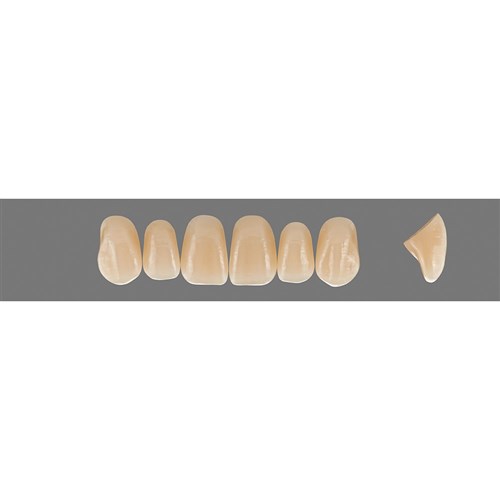 C3 Upper T44 Anterior