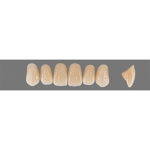 C3 Upper T46 Anterior