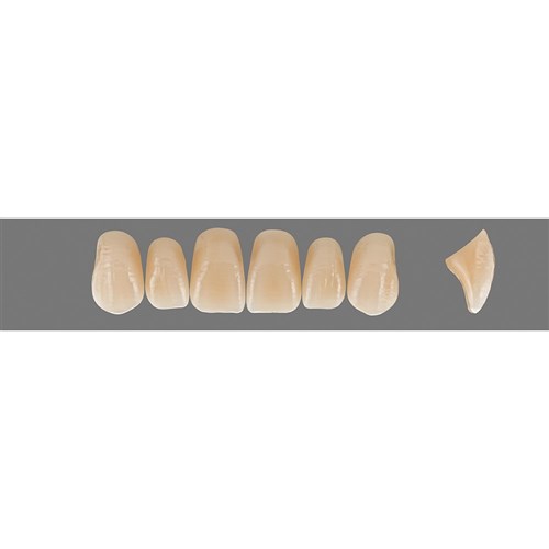 C3 Upper T47 Anterior