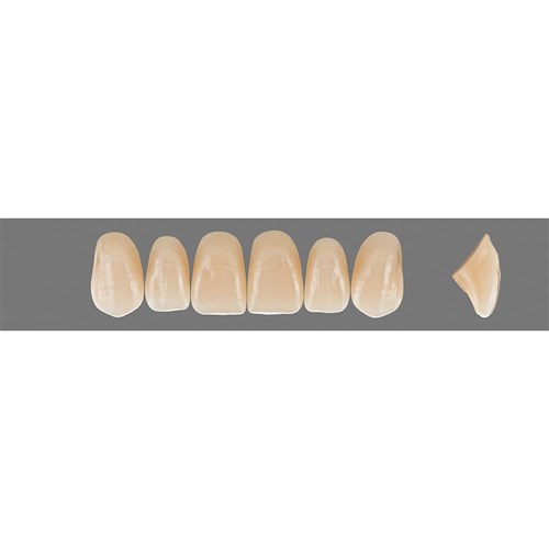 C3 Upper T48 Anterior