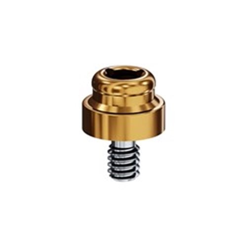 WP 5.0mm 2.0mm