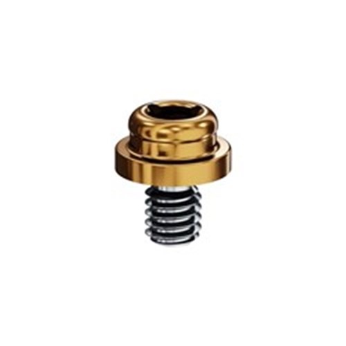 WP 5.0mm 1.0mm