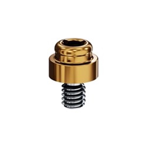 WP 5.0mm 2.0mm
